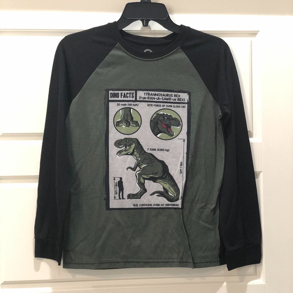 Boys' Dino Facts Long Sleeve